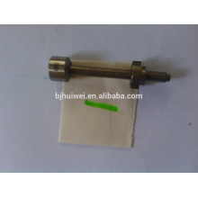 Titanium bolt with nut